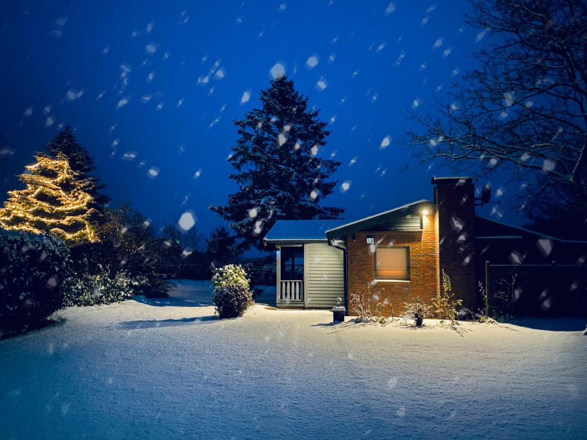 Schwedenhaus Mit Holzofen & Aussenkamin Auf 1400M2 Villa Tensbuttel-Rost Eksteriør billede